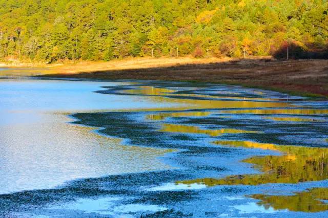 好但不会像你想象得那么糟既然选择了无论好的还是糟的请坚持下去!AG真人国际我的365天创业日记—创业永远不可能像你想象得那么(图2) 好但不会像你想象得那么糟既然选择了无论好的还是糟的请坚持下去!AG真人国际我的365天创业日记—创业永远不可能像你想象得那么(图2)