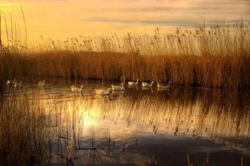 好但不会像你想象得那么糟既然选择了无论好的还是糟的请坚持下去!AG真人国际我的365天创业日记—创业永远不可能像你想象得那么(图13) 好但不会像你想象得那么糟既然选择了无论好的还是糟的请坚持下去!AG真人国际我的365天创业日记—创业永远不可能像你想象得那么(图13)