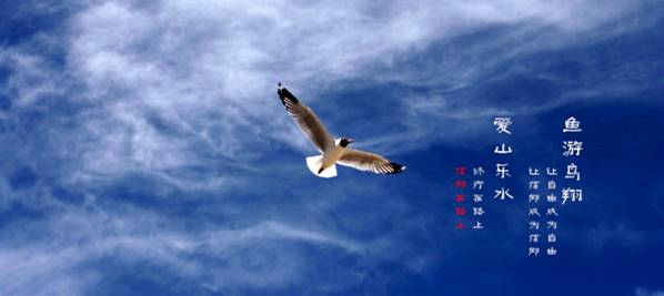 好但不会像你想象得那么糟既然选择了无论好的还是糟的请坚持下去!AG真人国际我的365天创业日记—创业永远不可能像你想象得那么(图6) 好但不会像你想象得那么糟既然选择了无论好的还是糟的请坚持下去!AG真人国际我的365天创业日记—创业永远不可能像你想象得那么(图6)